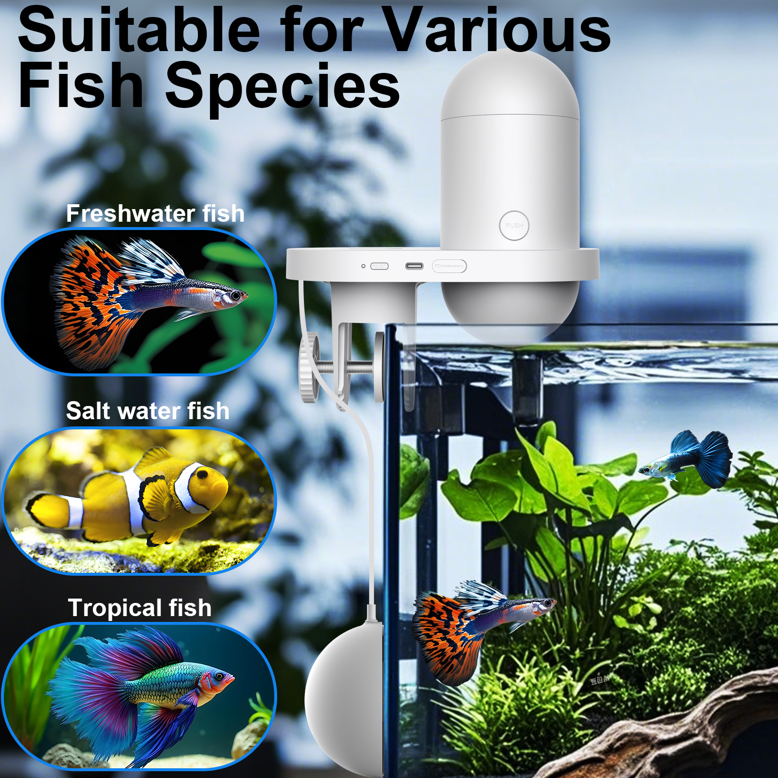 Automatic Fish Feeder With Cam - Fishing Line Dispenser recension och pris